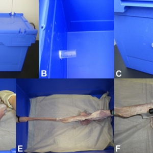 新型ERCP生物训练模型有效实用(多图)