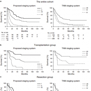 肝门部胆管癌临床分期新方法