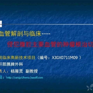 杨雁灵：侵犯腹腔主要血管的肿瘤根治切除