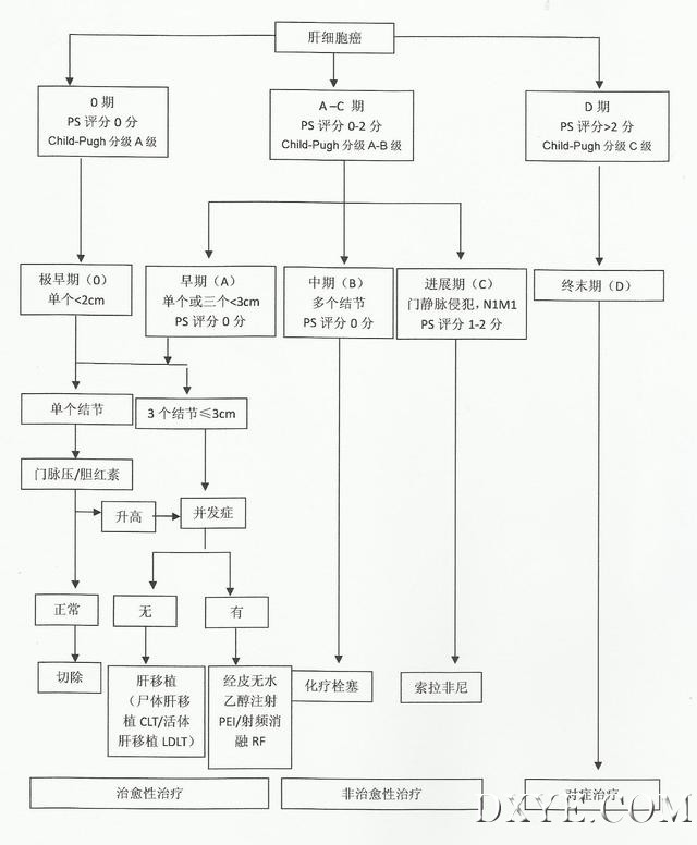 3-图1扫描.jpg