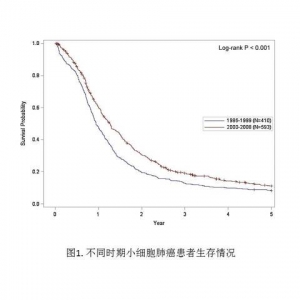 近10年小细胞肺癌患生存率明显提高