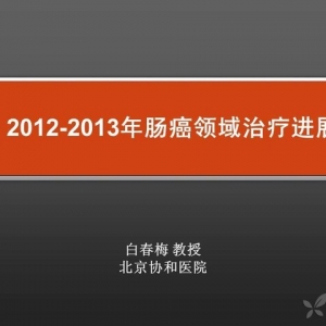 白春梅：2012-2013年肠癌领域治疗进展