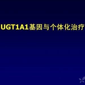 UGT1A1基因与个体化治疗