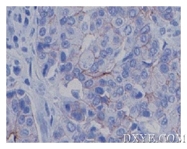 852748.fig.002a