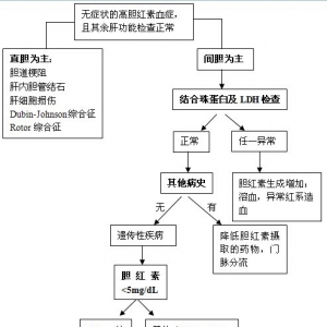 病例挑战：无症状性胆红素升高一例