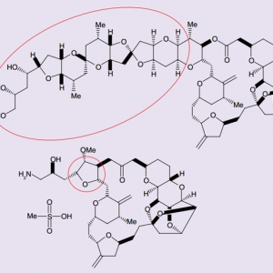 艾瑞布林：下一代肿瘤抗微管药物