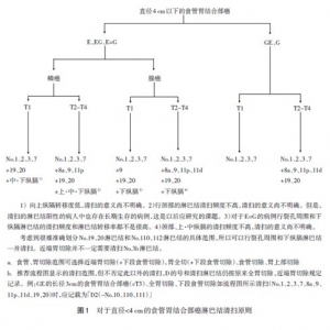 2014年第4版日本《胃癌治疗指南》更新要旨