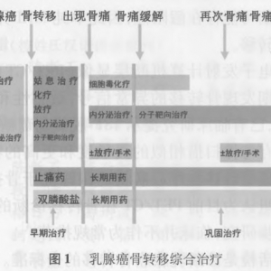 乳腺癌骨转移和骨相关疾病临床诊疗专家共识（2014版）