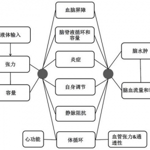 重症颅脑损伤患者维持电解质平衡