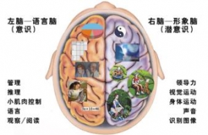 严重颅脑损伤的患者通常存在持久的神经心理障碍