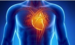肌钙蛋白是评估非心脏大手术后心肌损伤的重要指标