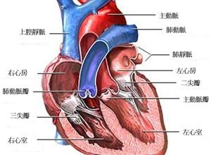 心脏舒张功能障碍影响非心脏手术的预后